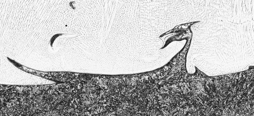 Kurioses: „Nessie“ gefunden im Schweißgut einer austenitischen Auftragsschweißung (Schweißplattierung)